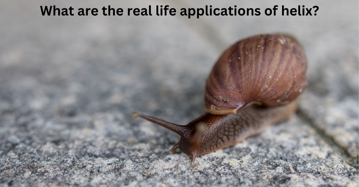 What are the real life applications of helix?